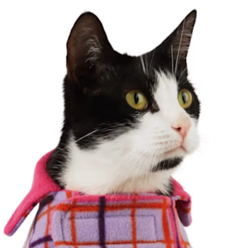 NWT Youly Reversible Plaid cozy cat coat S/M​